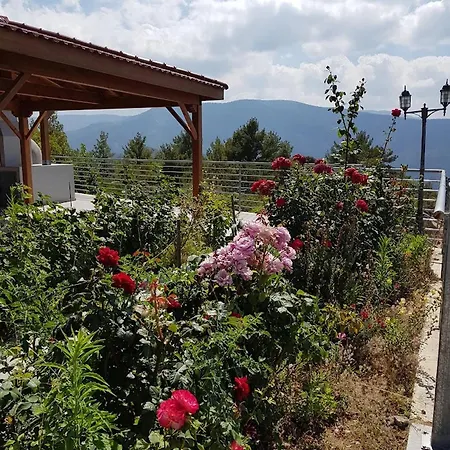 Heights - Breathtaking View *