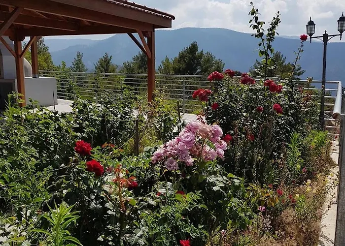 Heights - Breathtaking View *